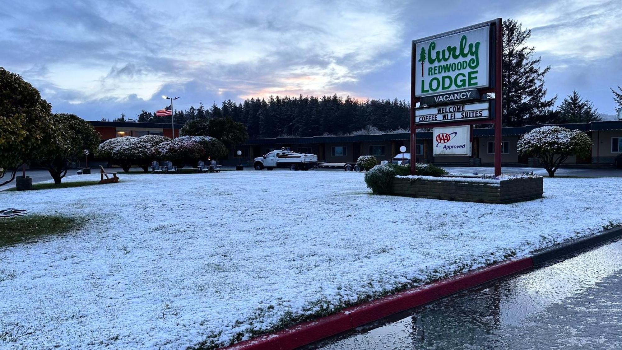 Curly Redwood Lodge 크레센트시티 외부 사진