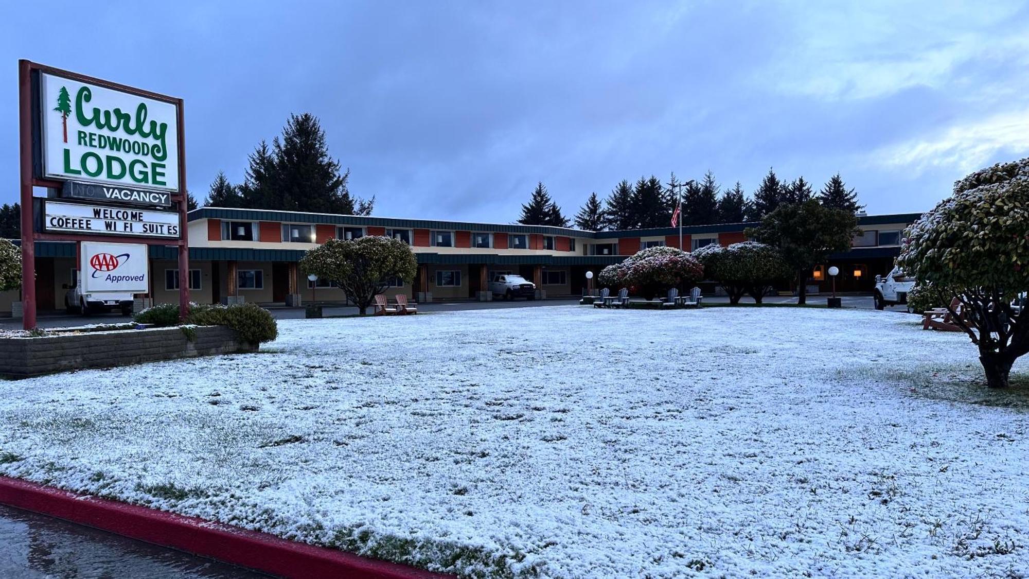 Curly Redwood Lodge 크레센트시티 외부 사진